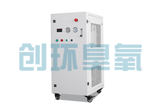 玉溪石斑鱼养殖水质调控完整指南:臭氧发生器配置与操作步骤