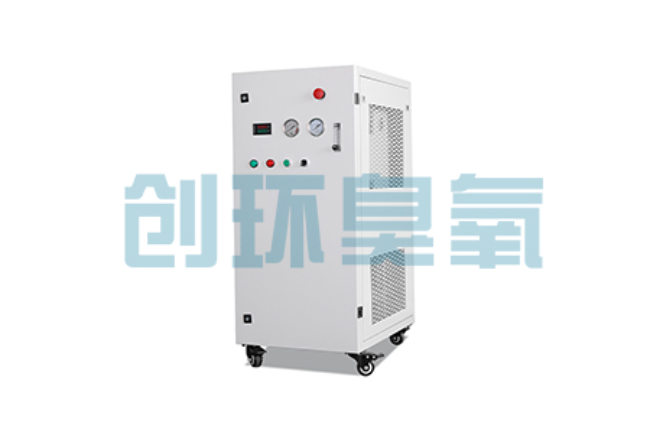 玉溪比传统换水更高效?臭氧发生器在石斑鱼养殖中的水质净化原理解析
