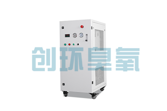 玉溪比传统换水更高效?臭氧发生器在石斑鱼养殖中的水质净化原理解析